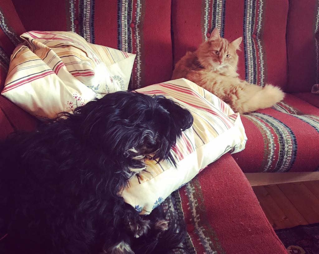 29994387_10155015093130666_1983181958_o